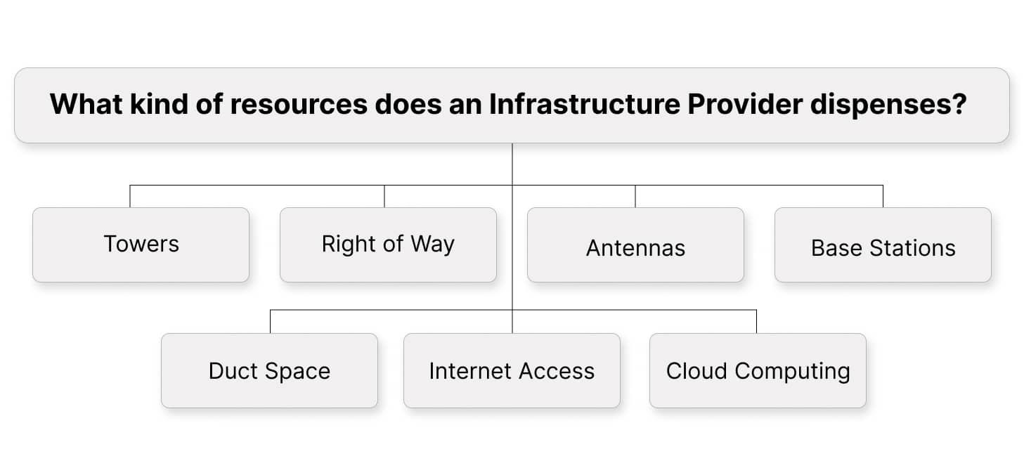 IP1 License in India